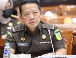 Lahan Sawit Ilegal yang Dikuasai Satgas PKH Lebih dari Target