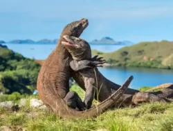Sandiaga: Labuan Bajo Ditargetkan Beroperasi 2024