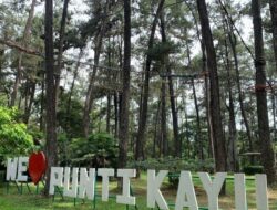 BNPB: Kawasan Wisata Alam Harus Antisipasi Kerawanan Bencana Selama Musim Mudik Lebaran 2025