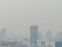Perubahan Iklim Berdampak ke Banyaknya Penyakit!