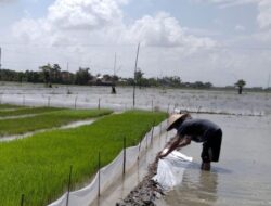 Masifnya Alih Fungsi Lahan Pertanian Karena Produk yang Dihasilkan Tak Untungkan Petani