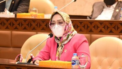 Jelang Libur Nataru, DPR Minta Permainan Harga Tiket Tak Terjadi