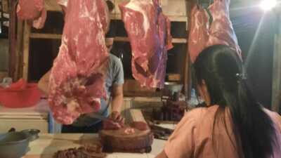 Daging Segar