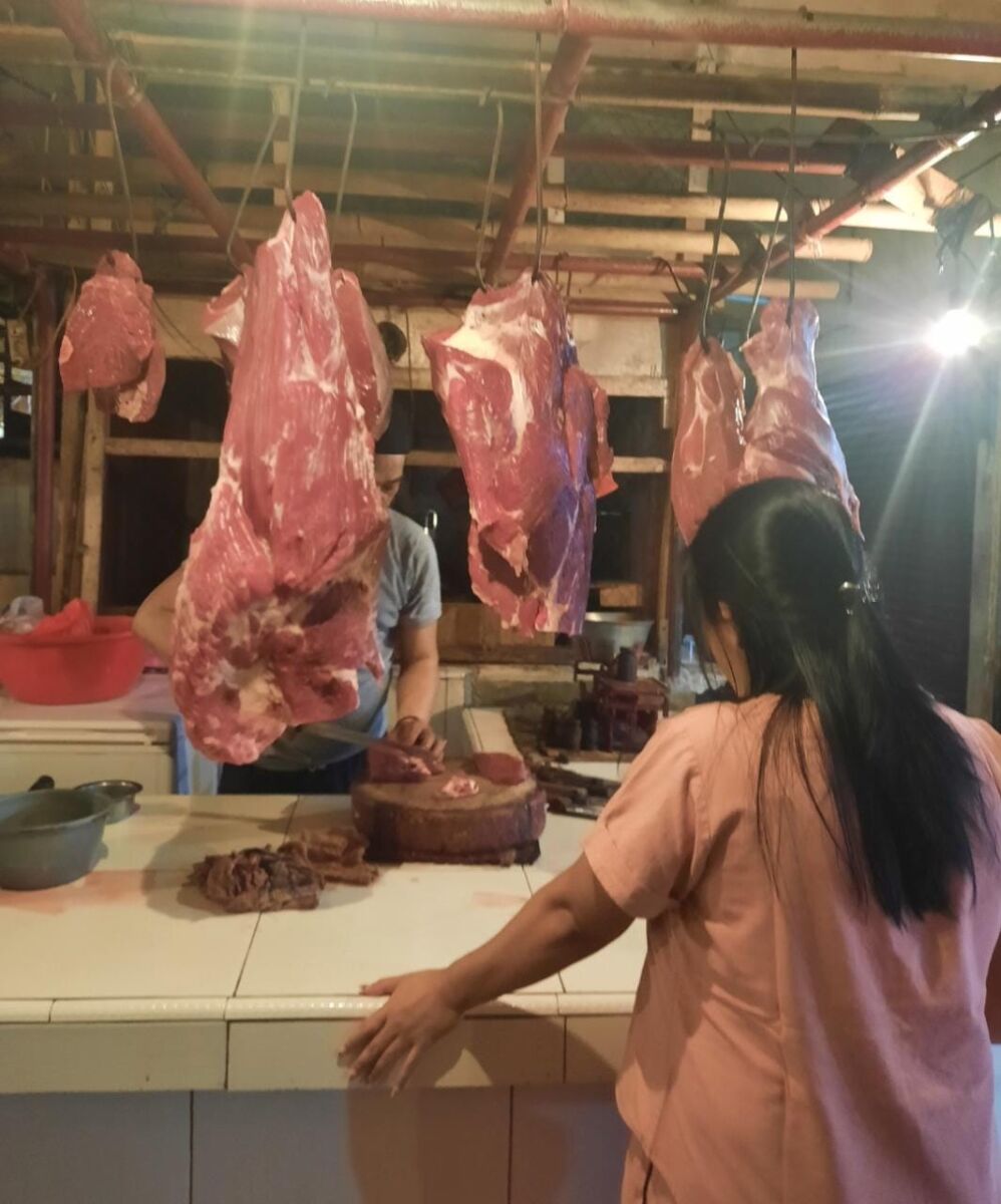 Daging Segar