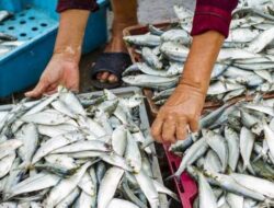 Harga Ikan Segar di Pasar Ranai Natuna Naik, Ini Penyebabnya!