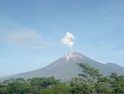 Gunung Semeru Kembali Semburkan Abu Vulkanik Setinggi 800 Meter
