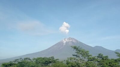 Gunung Semeru Lontarkan Abu Setinggi 500 Meter