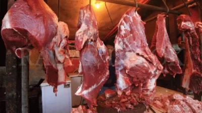 Ketersediaan Daging Sapi dan Kerbau Selama Ramadhan Hingga Lebaran 2025, Aman dan Terkendali