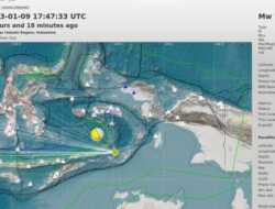 Sempat Terjadi Empat Kali Gempa Susulan di Pantai Utara Maluku Barat