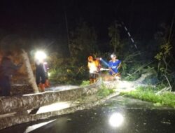 Sebagian Sulteng Mati Listrik Minggu Malam, Begini Penjelasan PLN