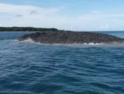 Sebuah Pulau Muncul di Kepulauan Tanimbar Setelah Gempa