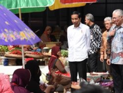 Tinjau Aktivitas Pasar, Pengamat Sebut Tugas Presiden Pastikan Stabilitas Harga Pangan