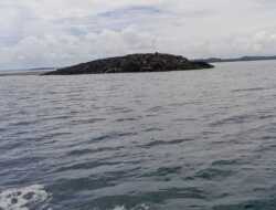 Penomena Alam, Usai Gempa Magnitudo 7,5, Muncul “Pulau” di Tanimbar Maluku