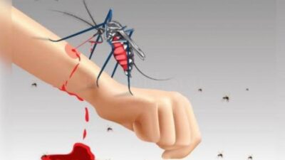 Vaksinasi Lengkap Dianggap Langkah Penting Cegah DBD