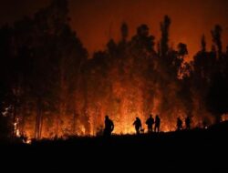 Kebakaran Hutan di Chile Kian Meluas, 23 Orang Dilaporkan Meningal