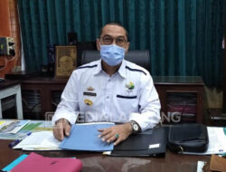 Titik Panas Turun, Potensi Kebakaran Hutan di Lampung Dinilai Tak Mengkhawatirkan
