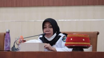 Tinjau Langsung ke Pasar, Pemkab Gowa Pastikan Tak Ada Kelangkaan Minyak Goreng Curah