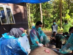 Seekor Gajah Dwiki Mati di Lokasi ANECC Simalungun Sumut