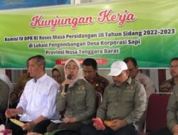 Tinjau Peternakan di Lombok Tengah, Komisi IV Serap Curhatan Kelompok Tani