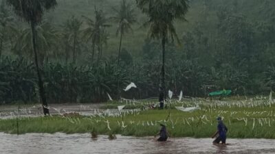 Desa Taloko