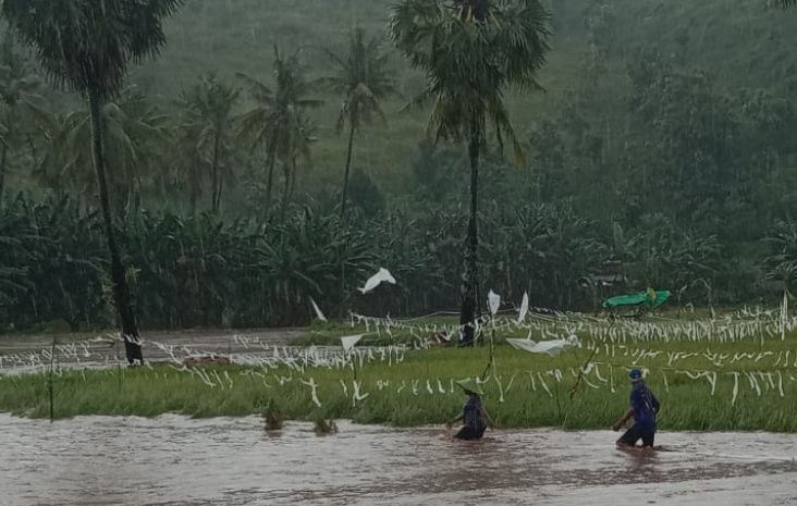 Desa Taloko