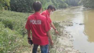 Penyebab Ribuan Ikan di Sungai Cileungsi Mulai Diselidiki, Polisi Cek Sampel Air