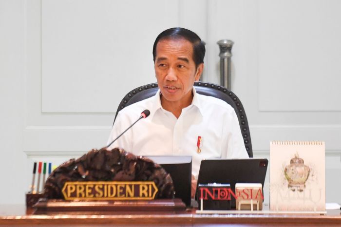 Hari Ini, Jokowi ke Lampung Cek Langsung Jalan Rusak yang Viral