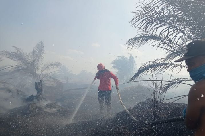 42 Hektare, Pekanbaru, 50 Hektare