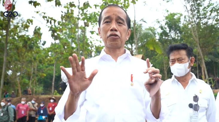 Bandara Ewer, BPKP, Jokowi, Jembatan Kretek