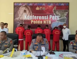Bongkar Sindikat Penyelundupan 28 Ribu Benih Lobster, Polda NTB Tangkap Lima Pelaku