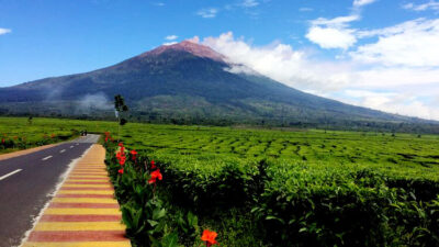 Gunung Kerinci dan Candi Muaro Jambi Diproyeksikan Jadi Warisan Dunia