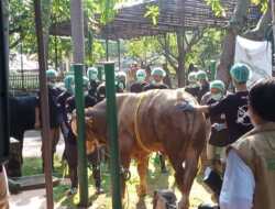 Sebanyak 3.200 Ekor Sapi Impor Sudah Tiba di Tanjung Priok untuk Penuhi Kebutuhan Ramadan dan Idul Fitri 1446 Hijriah