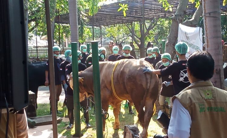 Hewan Kurban, Pj Gubernur DKI