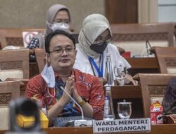 Wamendag Bilang, UU Anti Deforestasi Produk Eropa Rugikan Petani Sawit Indonesia