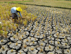 Tangani Dampak El Nino, Baznas Gelontorkan Rp1,3 Miliar