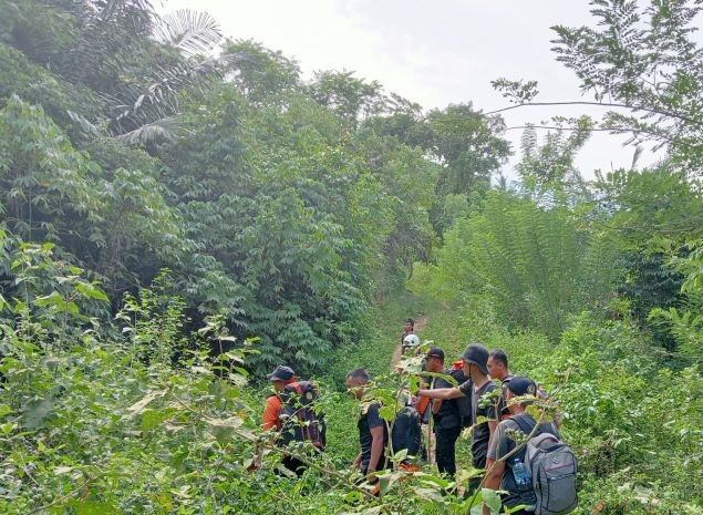 Teresia Lina, Hutan Bukit Arang