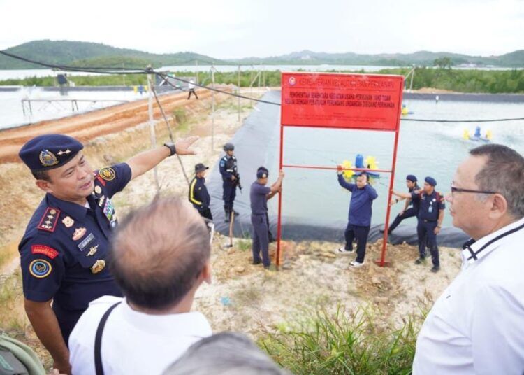 KKP Segel Dua Unit Usaha Tambak Udang di Batam