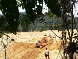 Seorang Penambang Peti di Jambi Tewas Tertimbun Longsor