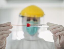 Studi Terbaru di AS Temukan Manusia Sebarkan Virus Corona ke Hewan