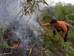 Riau Catat 180 Titik Api Januari-22 Juli 2025, Terbanyak di Rokan Hilir