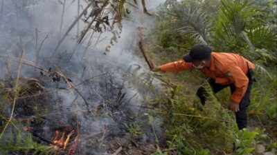 Riau Catat 180 Titik Api Januari-22 Juli 2025, Terbanyak di Rokan Hilir