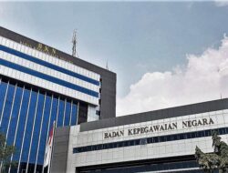BKN Ungkap 229.901 ASN Bakal Dialihkan Berdasar Penambahan Instansi