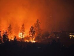 Kebakaran Hutan di 2 Wilayah Kanada, Puluhan Ribu Warga Mengungsi