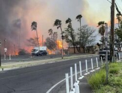 Korban Tewas Karhutla Hawaii Tembus 93 Orang