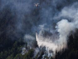 Kebakaran Hutan di Hawaii Memakan Korban Tewas 80 Orang