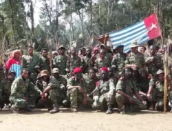 DPR Nilai Kasus Pembunuhan 12 Warga Sipil oleh KKB Bukan Kriminal Biasa