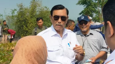 Tangani Deforestasi dan Sampah, Luhut Pastikan Ambil Langkah Terpadu