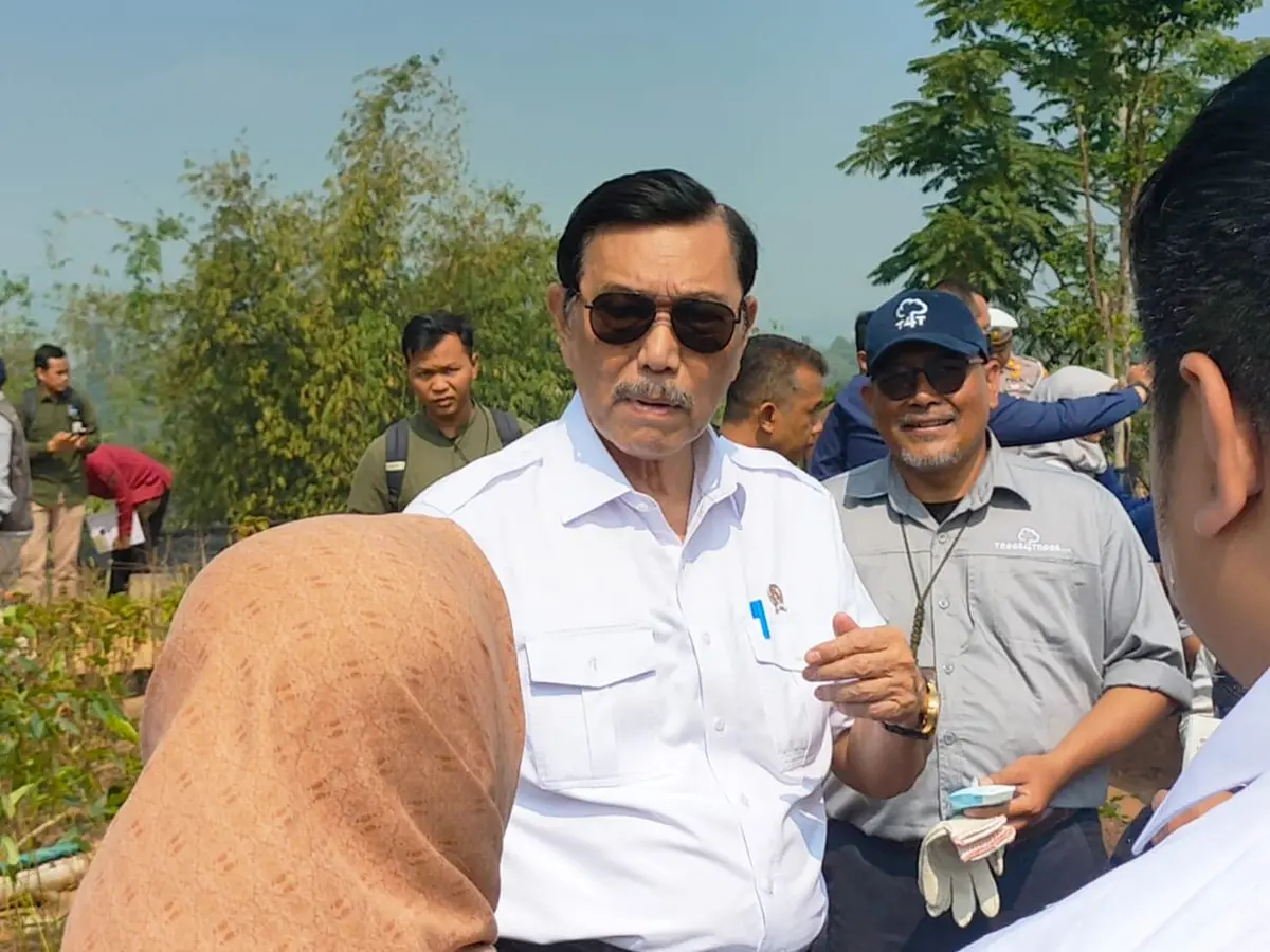 Tangani Deforestasi dan Sampah, Luhut Pastikan Ambil Langkah Terpadu