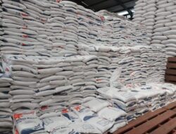 Aman, Stok Beras di Gudang Bulog Seminggu Jelang Lebaran 2025 Capai 2,1 Juta Ton