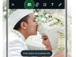 WhatsApp Punya Fitur Baru, Pengiriman Foto Bisa Berkualitas HD